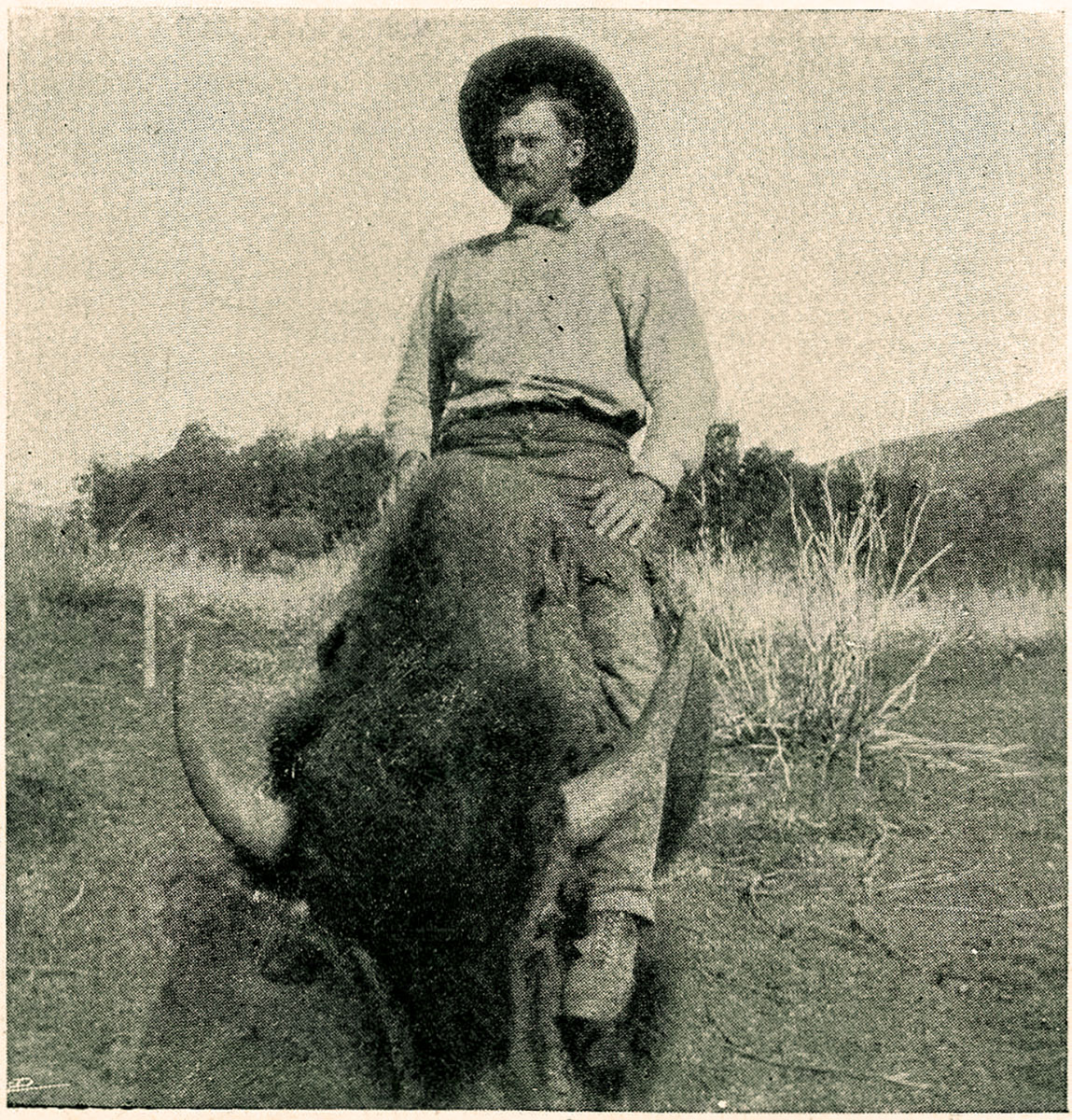 Dick Rock riding his pet buffalo “Lindsay.”